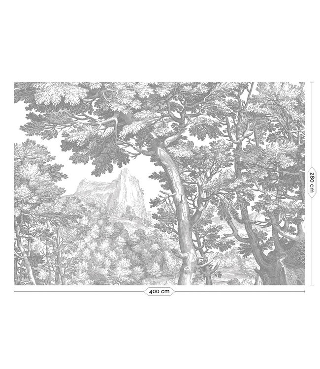 Engraved Landscapes, Tapete mit Landschaftsgravur