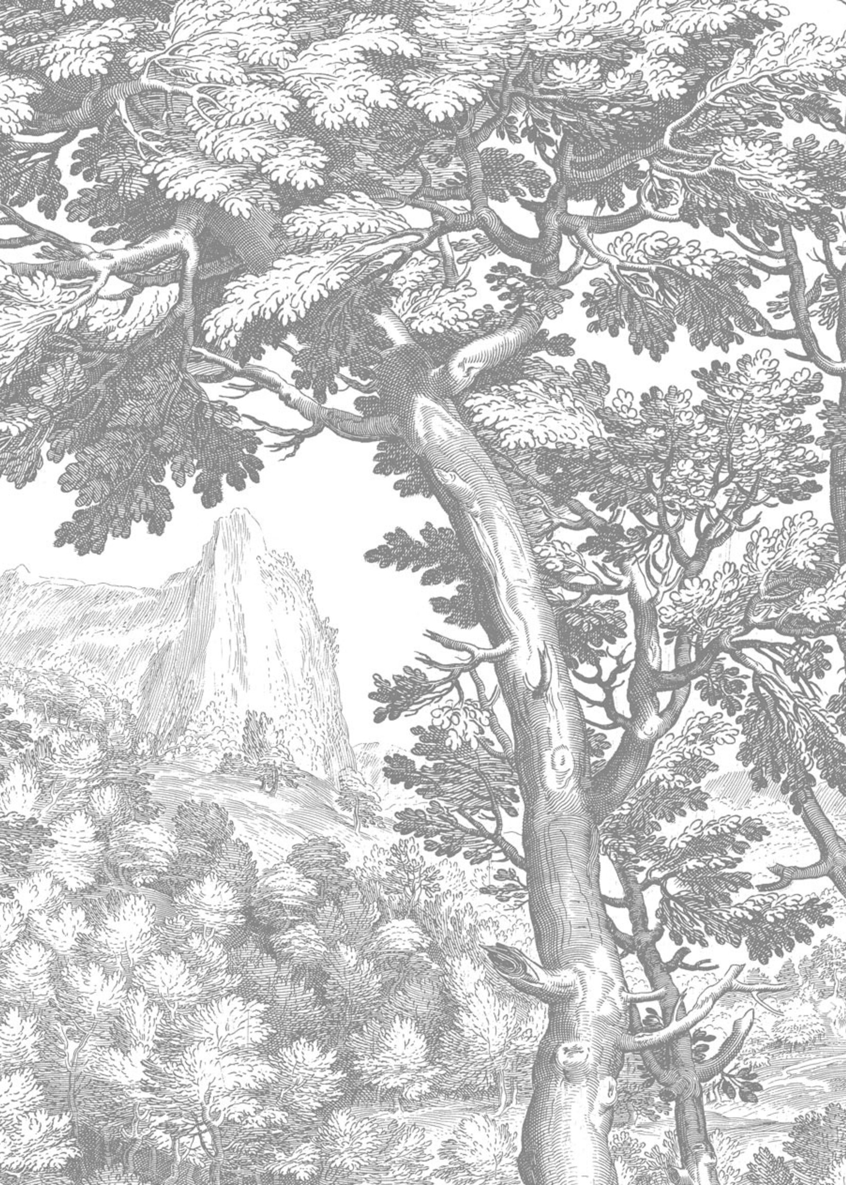 Wandvullend Engraved Landscapes, behang met getekend landschap