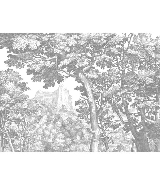 Engraved Landscapes, behang met getekend landschap