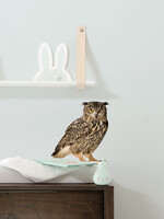 Wall sticker Owl, 30 x 32 cm