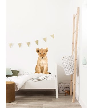 Wall sticker Lion Cub, 28 x 48 cm