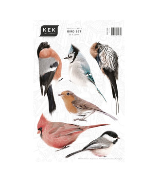 Wandtattoos Birds set, 21 x 33 cm