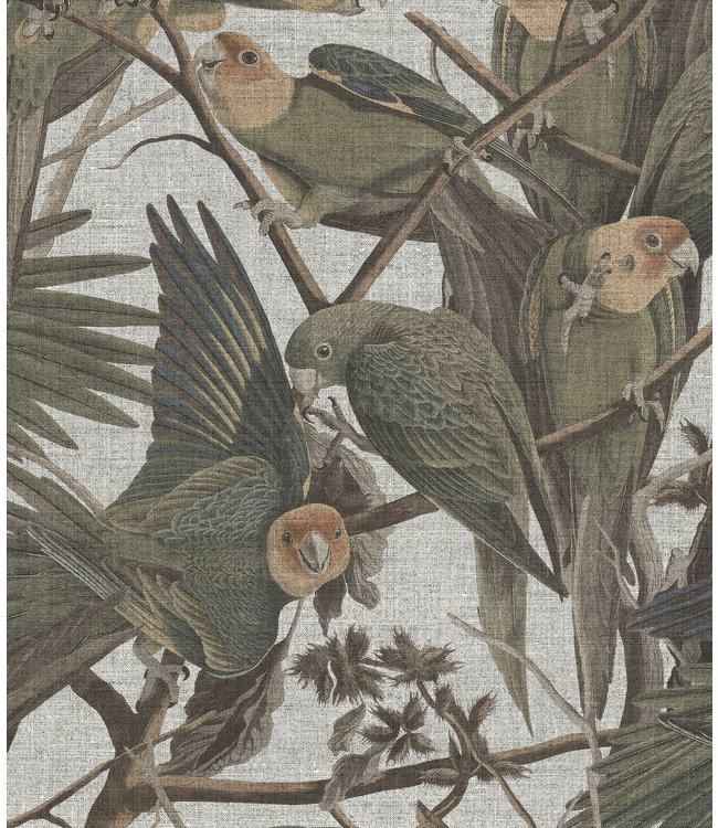 Tapete Parrots, Weiß, Waschbar, 100 x 280 cm