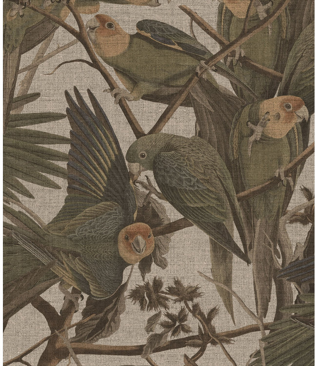 Tapete Parrots, Beige, Waschbar, 100 x 280 cm