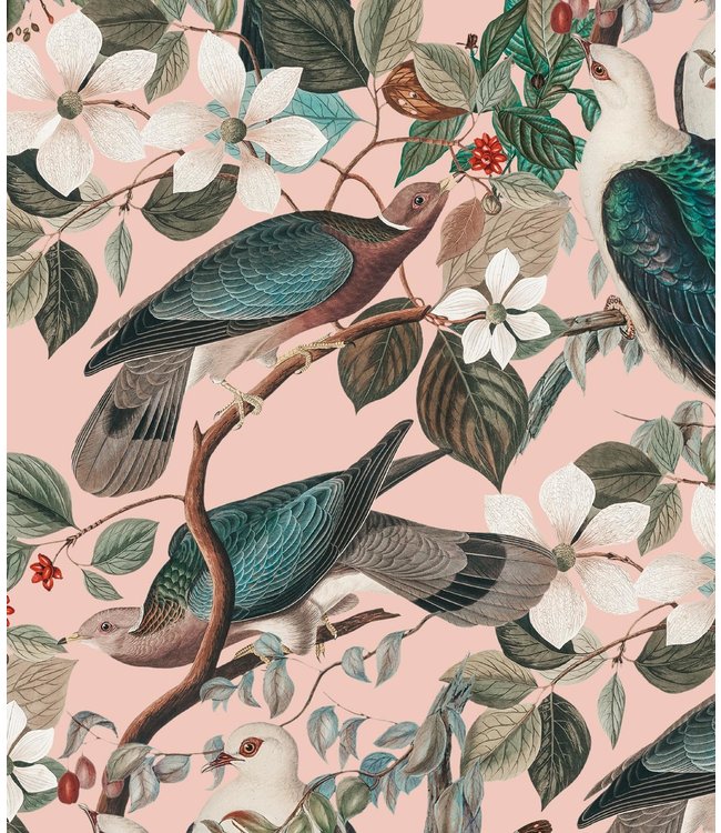 Wallpaper Pigeons, Pink, Washable, 100 x 280 cm
