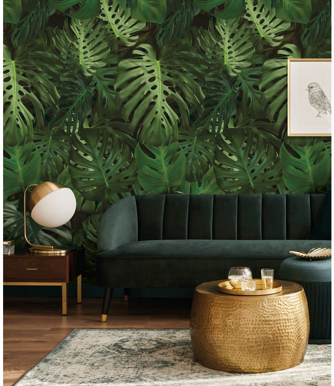 Botanical wallpaper Monstera, 97.4 x 280 cm