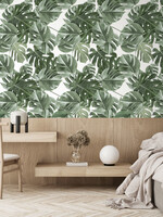 Bladeren behang Monstera