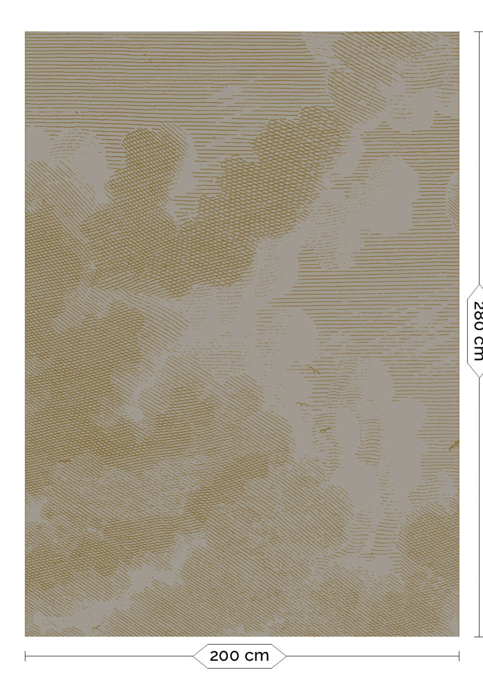 Goud metallic | Afwasbaar Gold metallics wall mural Engraved Clouds, Grey