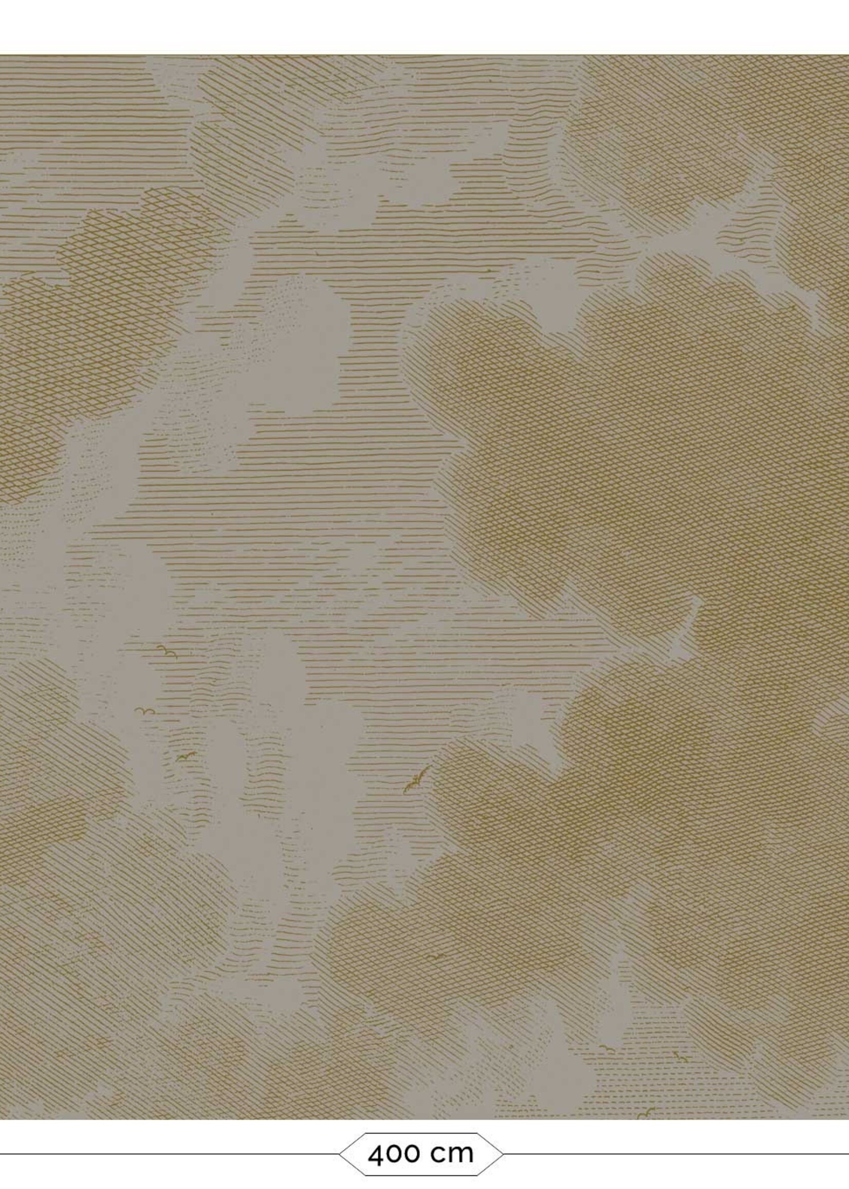 Goud metallic | Afwasbaar Gold metallics wall mural Engraved Clouds, Grey