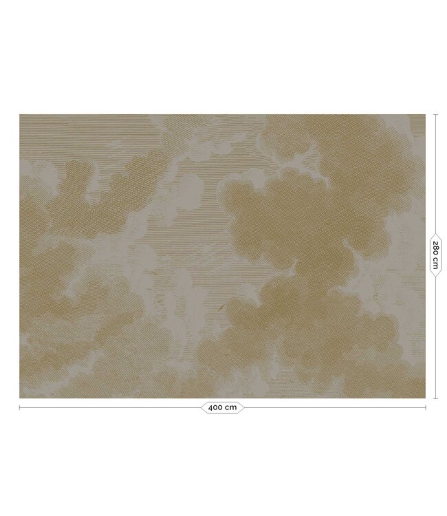 Goud behang Engraved Clouds, Grijs