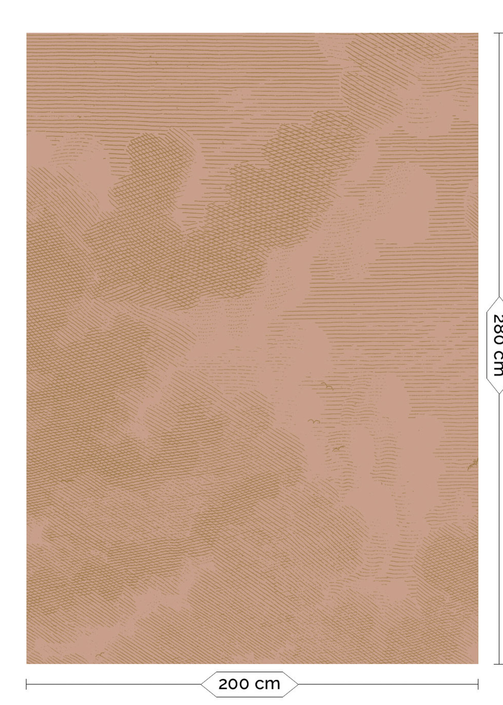 Goud metallic | Afwasbaar Gold metallics wall mural Engraved Clouds, Nude
