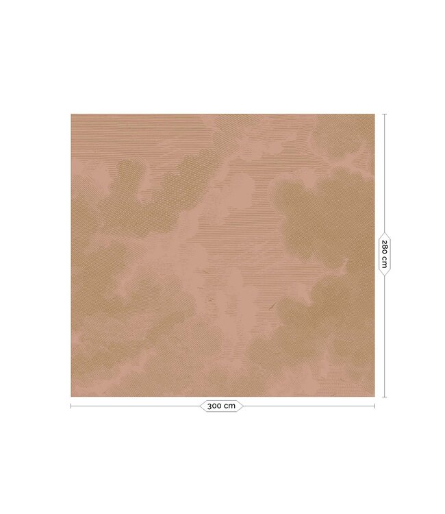 Gold metallics wall mural Engraved Clouds, Nude