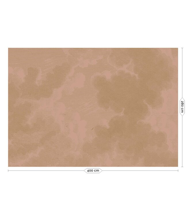 Gold metallics wall mural Engraved Clouds, Nude