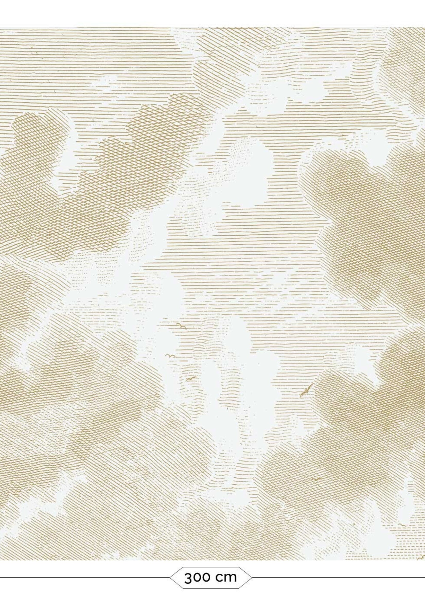 Goud metallic | Afwasbaar Gold-Tapete Engraved Clouds, Grauweiß