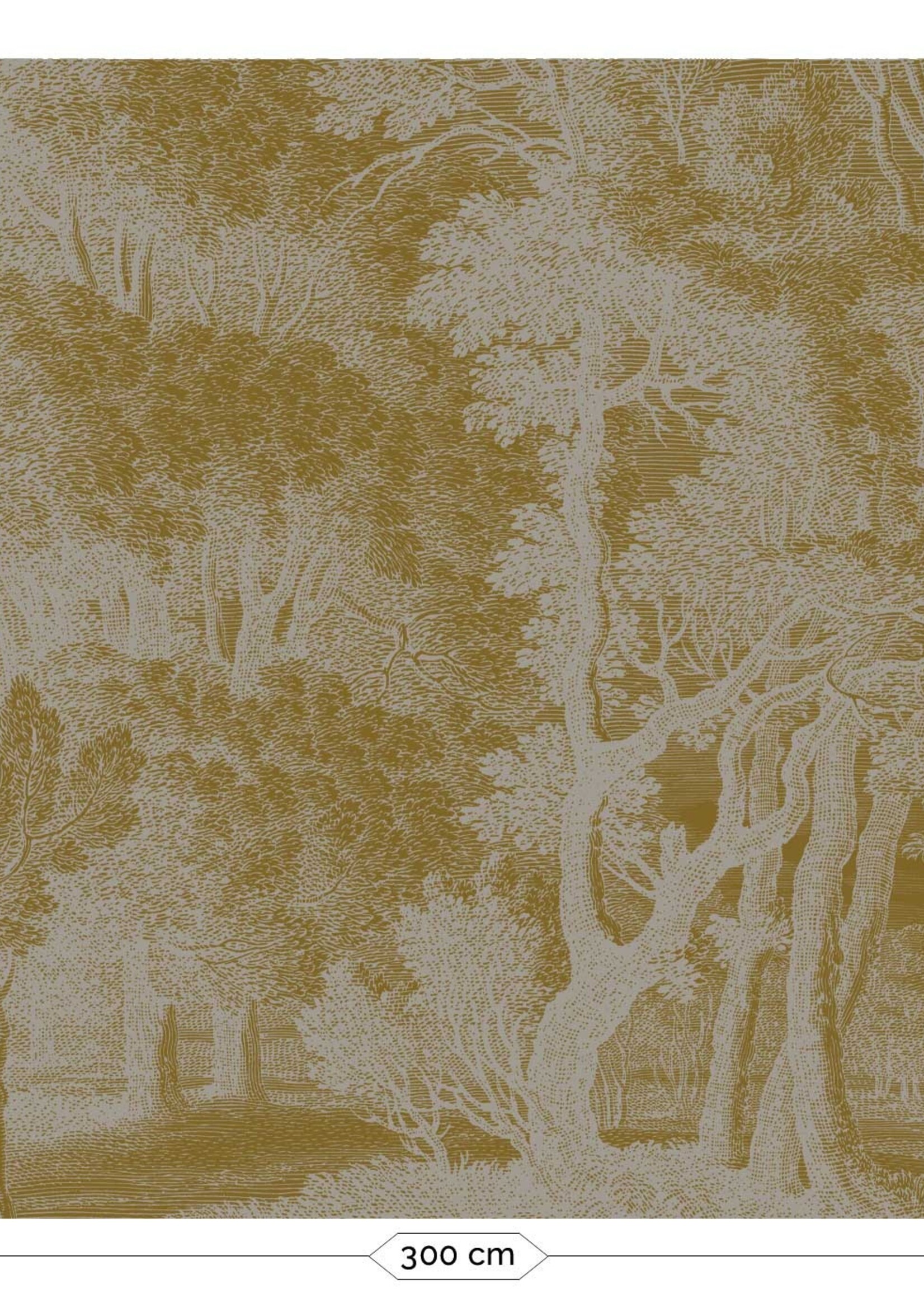 Goud metallic | Afwasbaar Gold-Tapete Engraved Landscapes, Grau