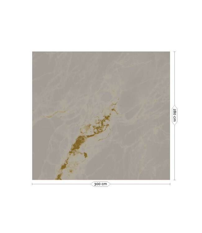 Gold metallic wall mural Marble, Grey