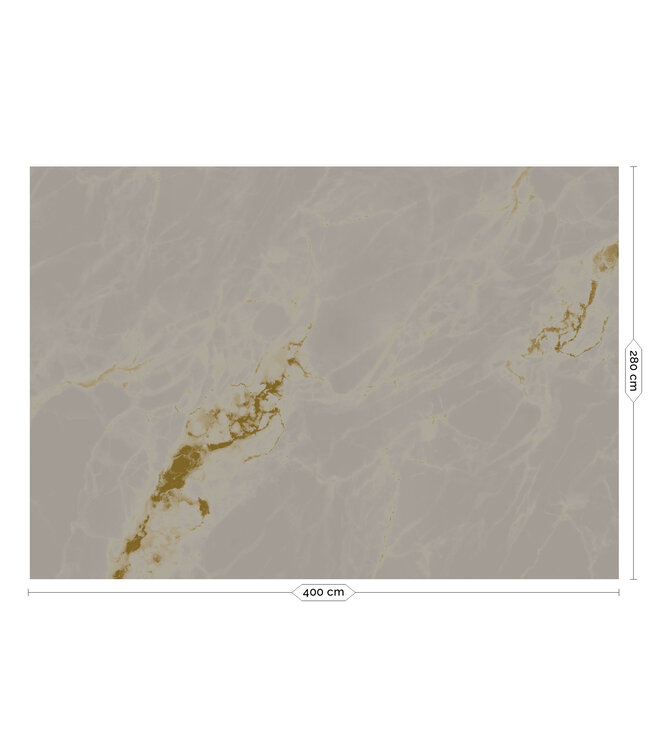 Gold metallic wall mural Marble, Grey