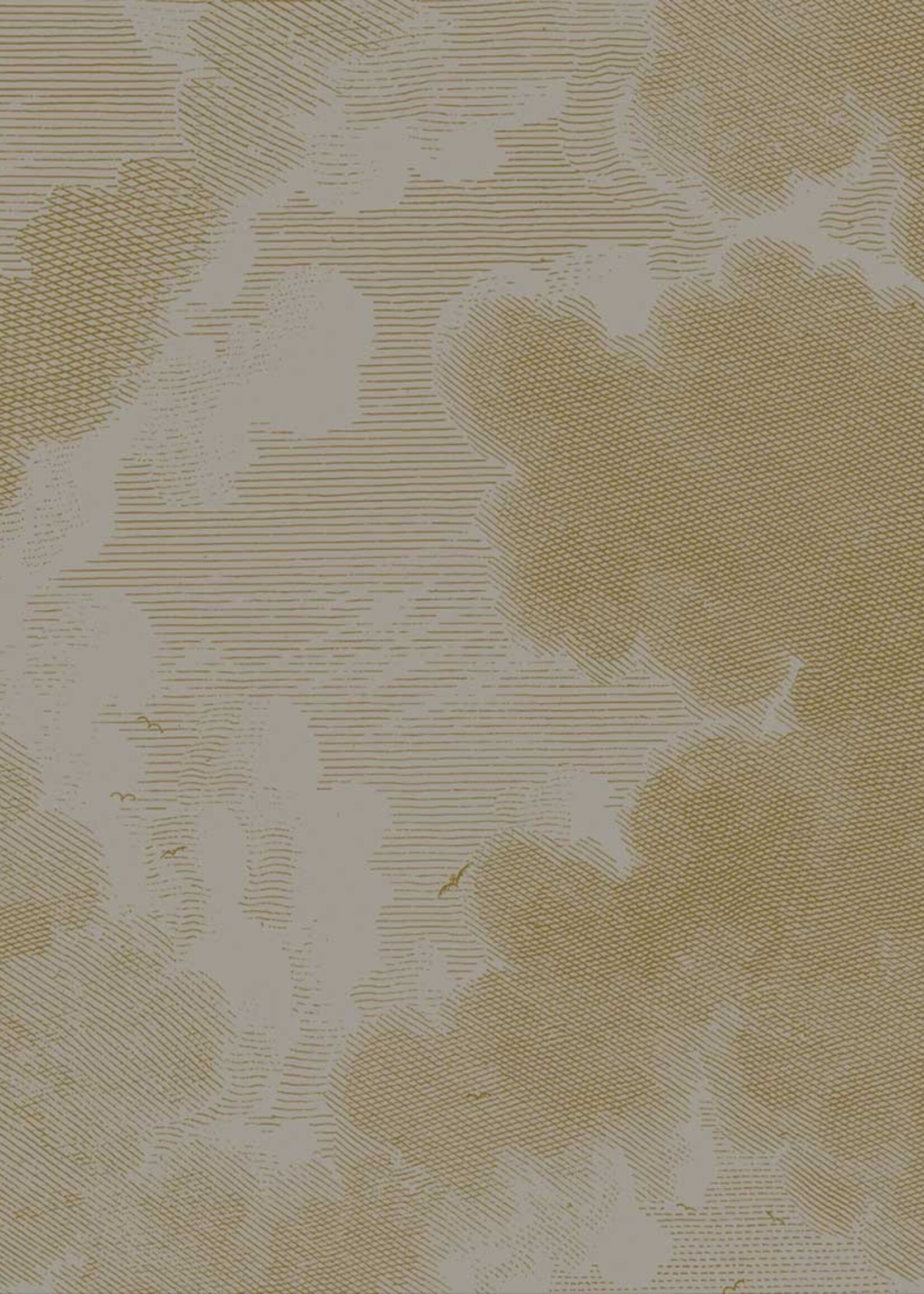 Goud metallic | Afwasbaar Goud behang Engraved Clouds, Grijs
