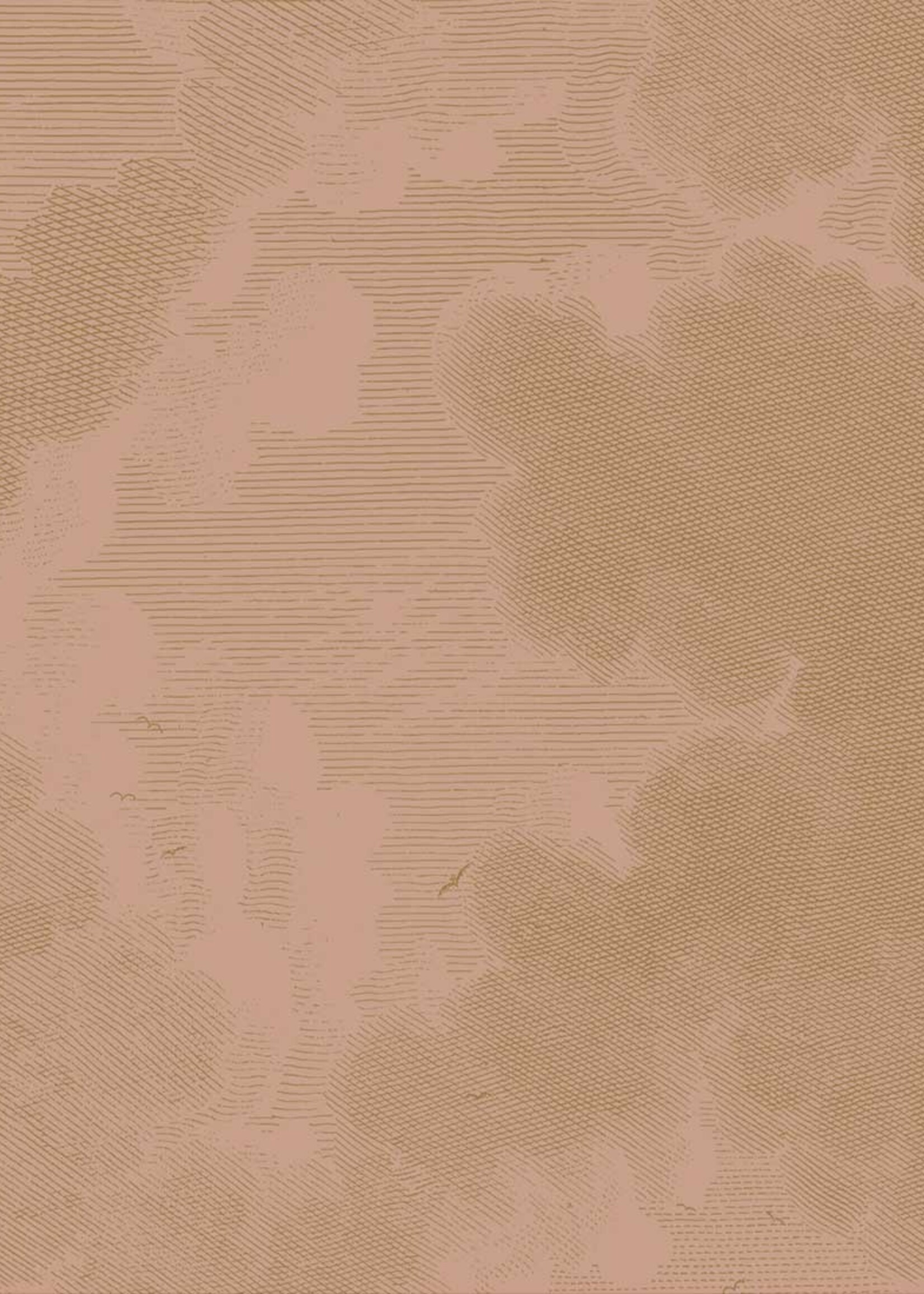 Goud metallic | Afwasbaar Goud behang Engraved Clouds, Nude