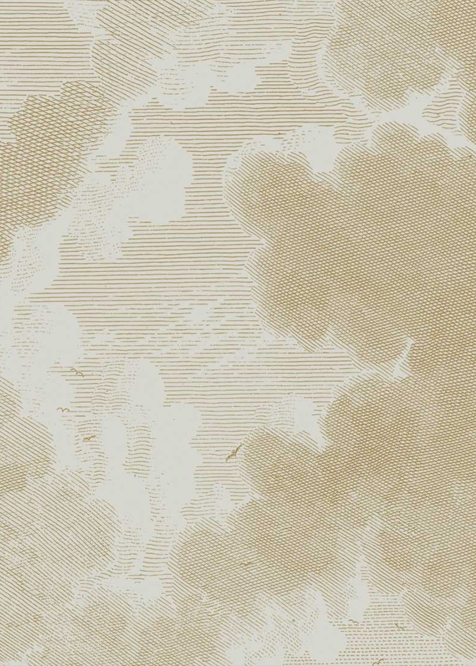 Goud metallic | Afwasbaar Gold-Tapete Engraved Clouds, Sand