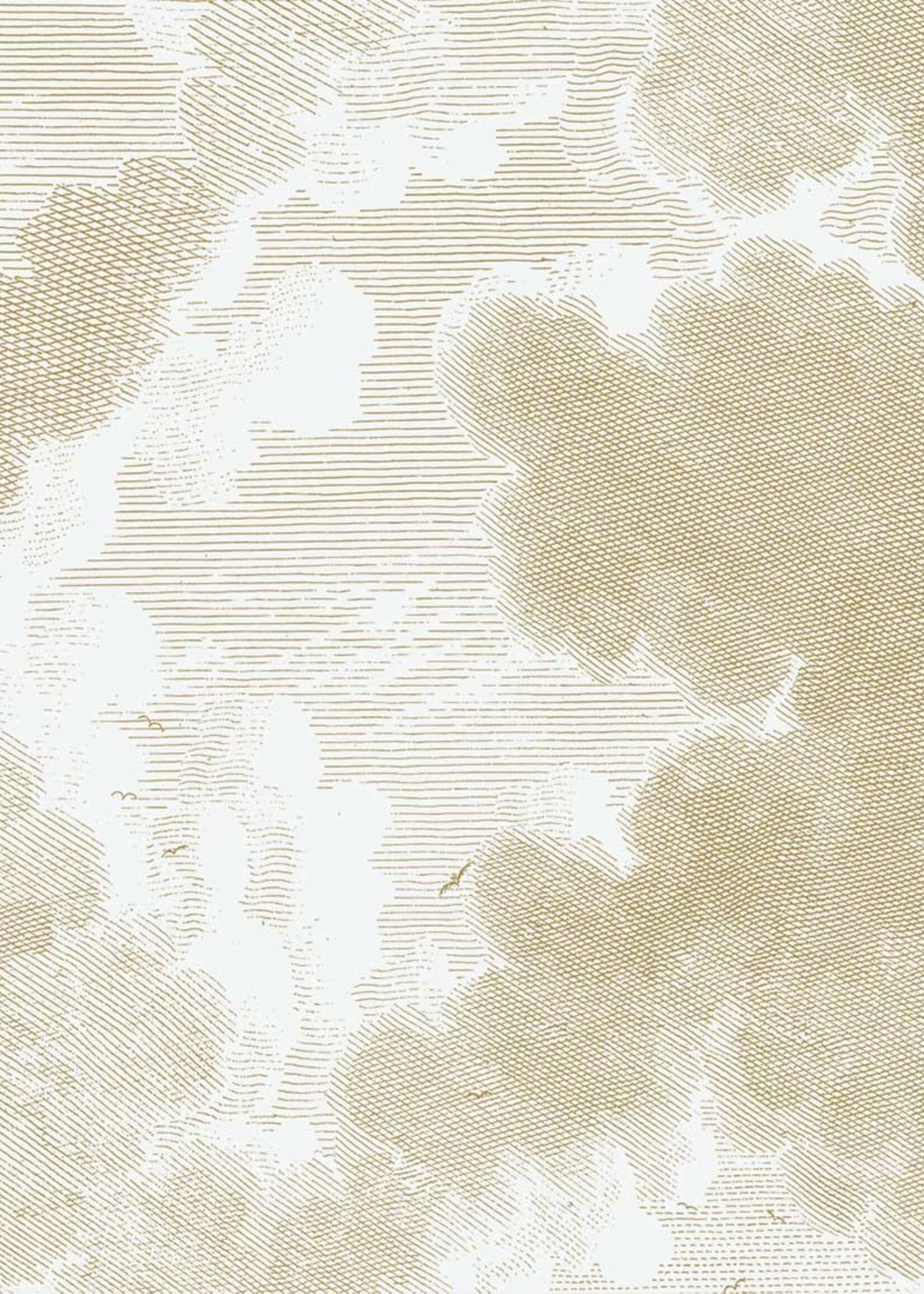 Goud metallic | Afwasbaar Goud behang Engraved Clouds, Off-white