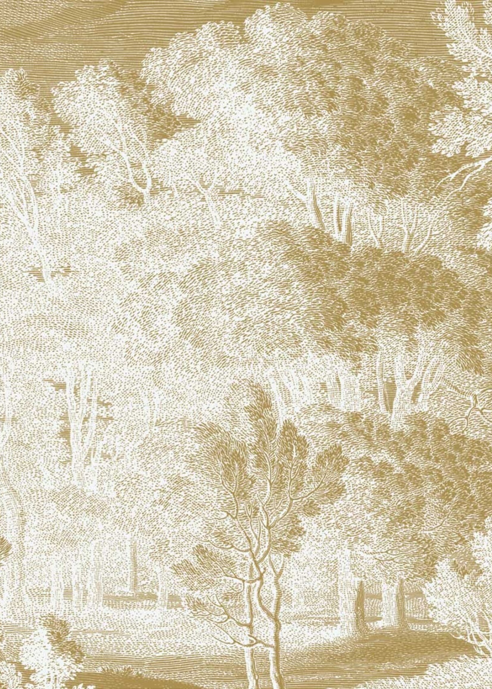 Goud metallic | Afwasbaar Gold-Tapete Engraved Landscapes, Grauweiß