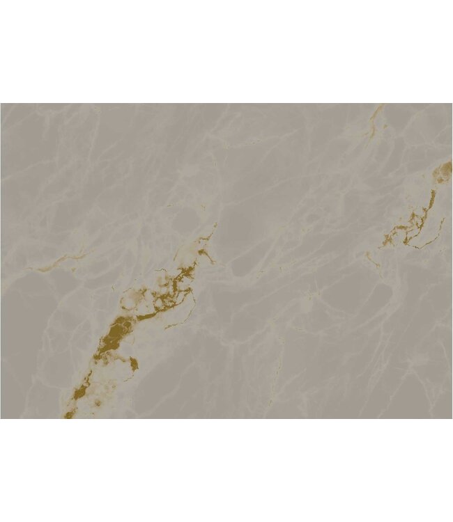 Gold metallic wall mural Marble, Grey