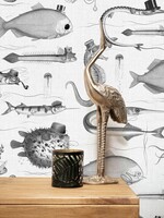 Wandvullend Wall Mural Dandy Fish