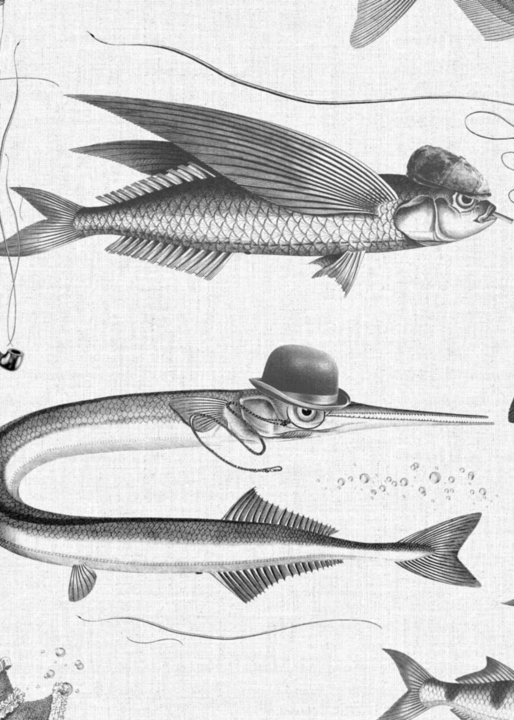 Wandvullend Fototapete Dandy Fish