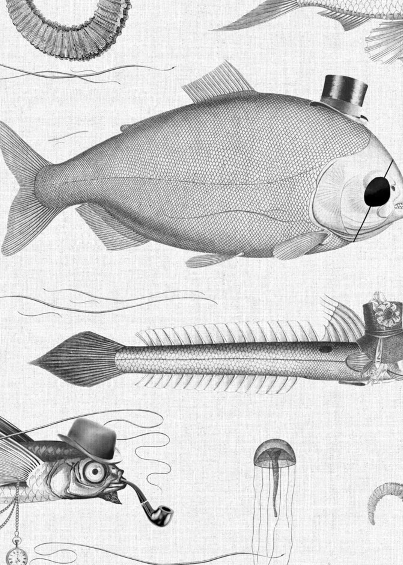 Wandvullend Dandy Fish Behang