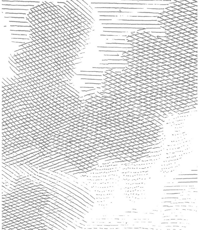 Wall Mural Engraved Clouds