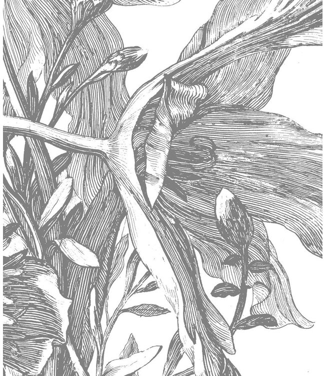 Fototapete Engraved Flowers