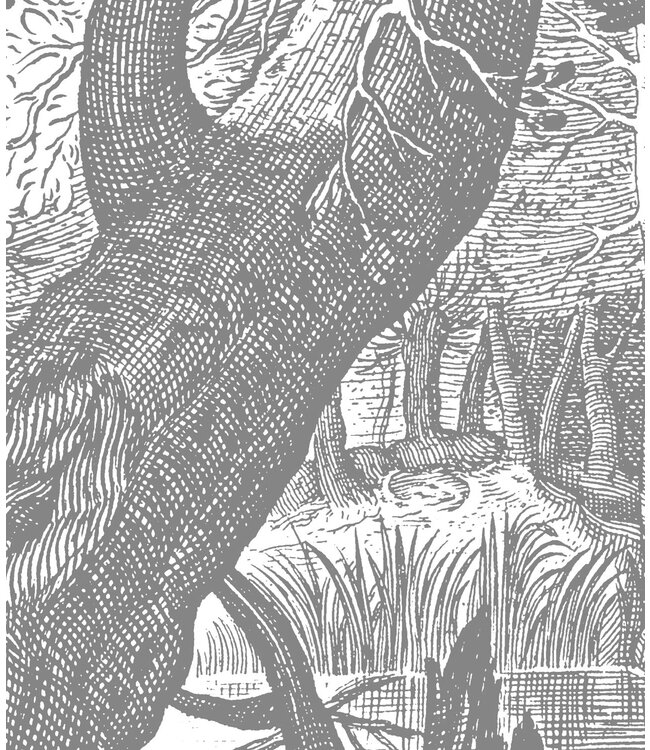 Fototapete Engraved Landscapes