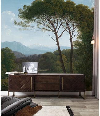 Wandvullend Wall Mural Golden Age Landscapes