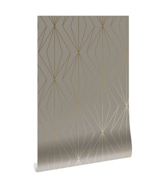 Goud metallic | Afwasbaar Golden Lines, Gold geometric lines wallpaper, Taupe