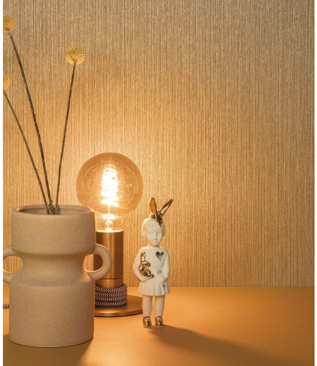 Hotel Chique Behang, Geneva, 53 x 1000 cm