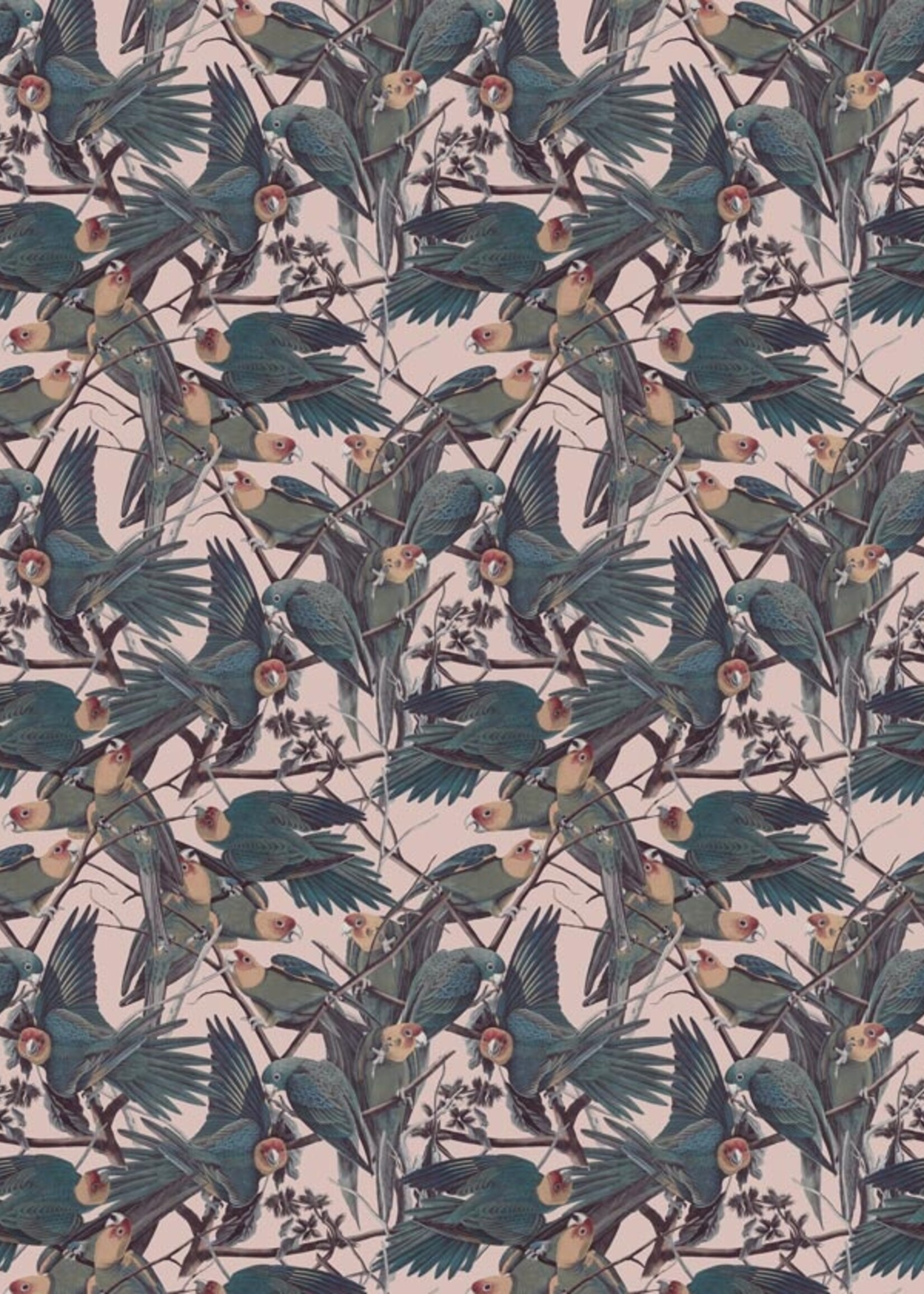 Wandvullend Botanisch behang Parrots