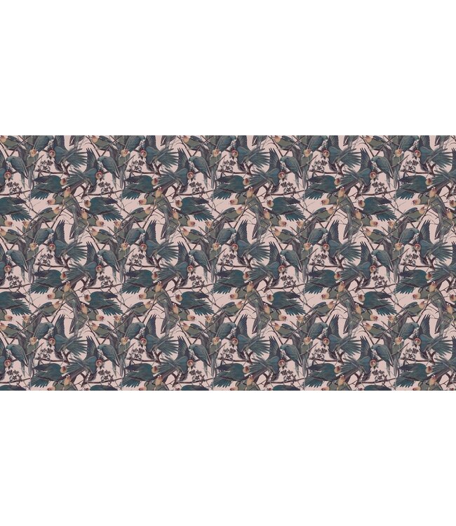 Botanical wallpaper Parrots