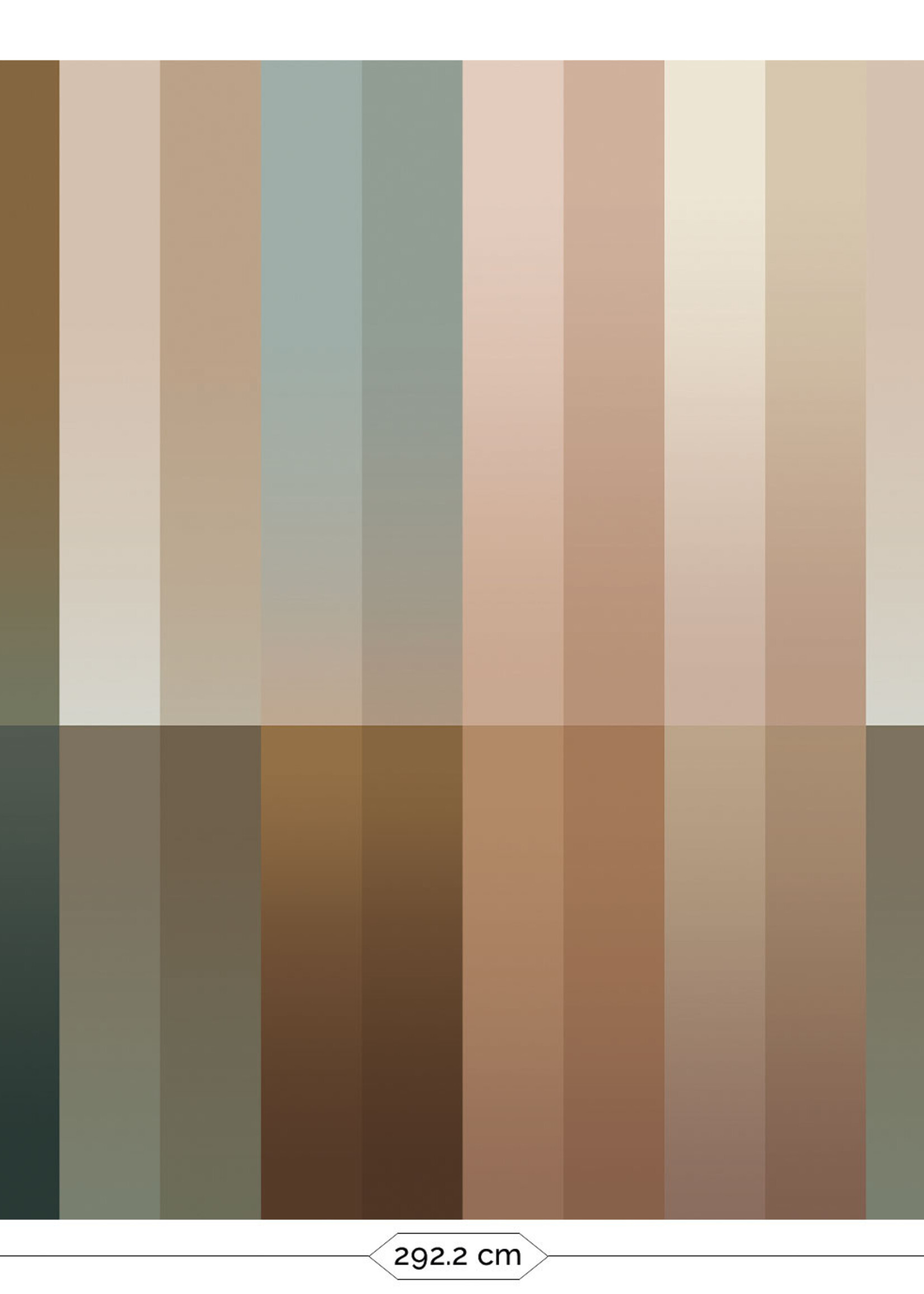 Wandvullend Gradient Stripes Multicolor | Strepen behang door Frans Uyterlinde
