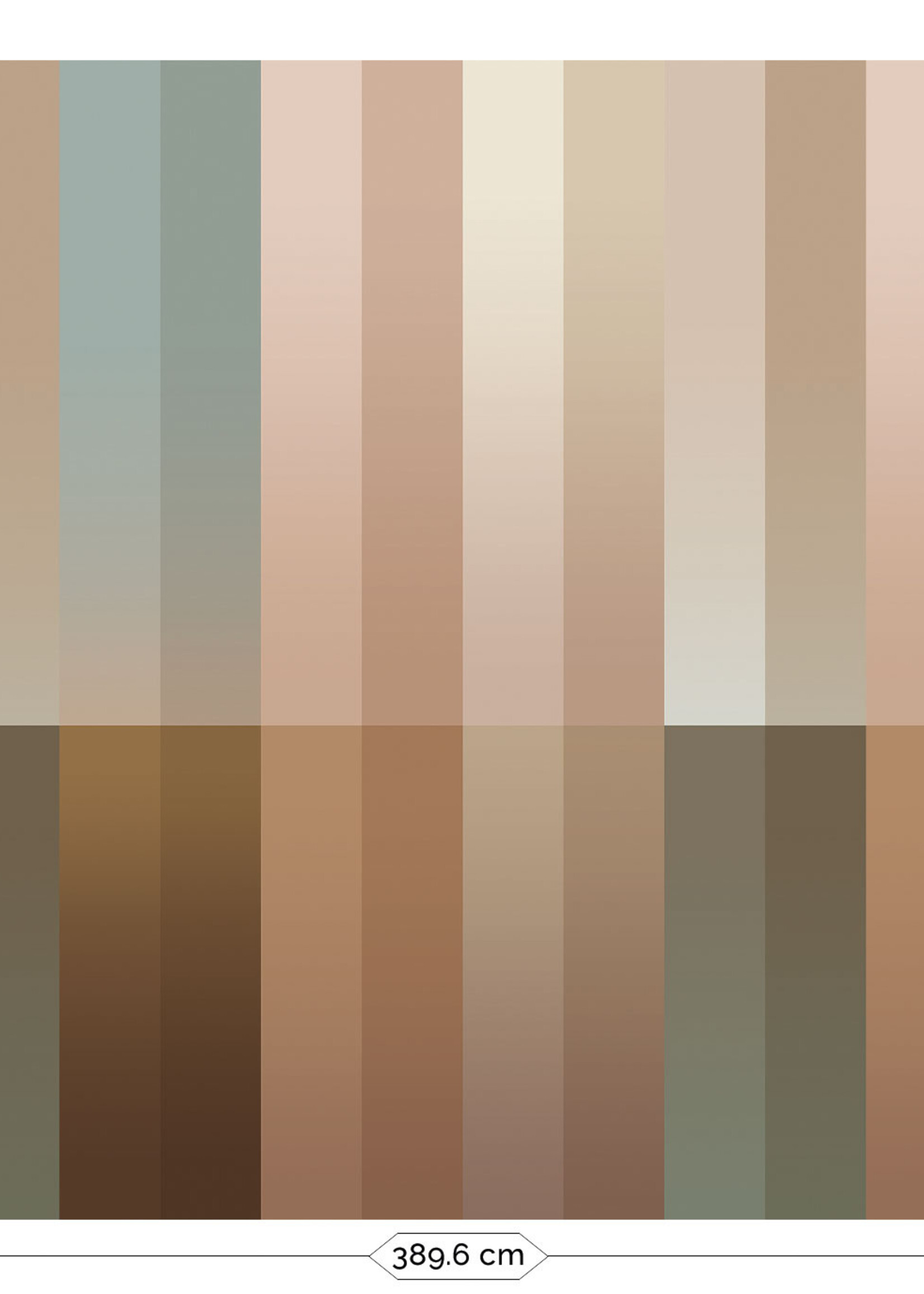 Wandvullend Gradient Stripes Multicolor | Gestreifte Tapete von Frans Uyterlinde