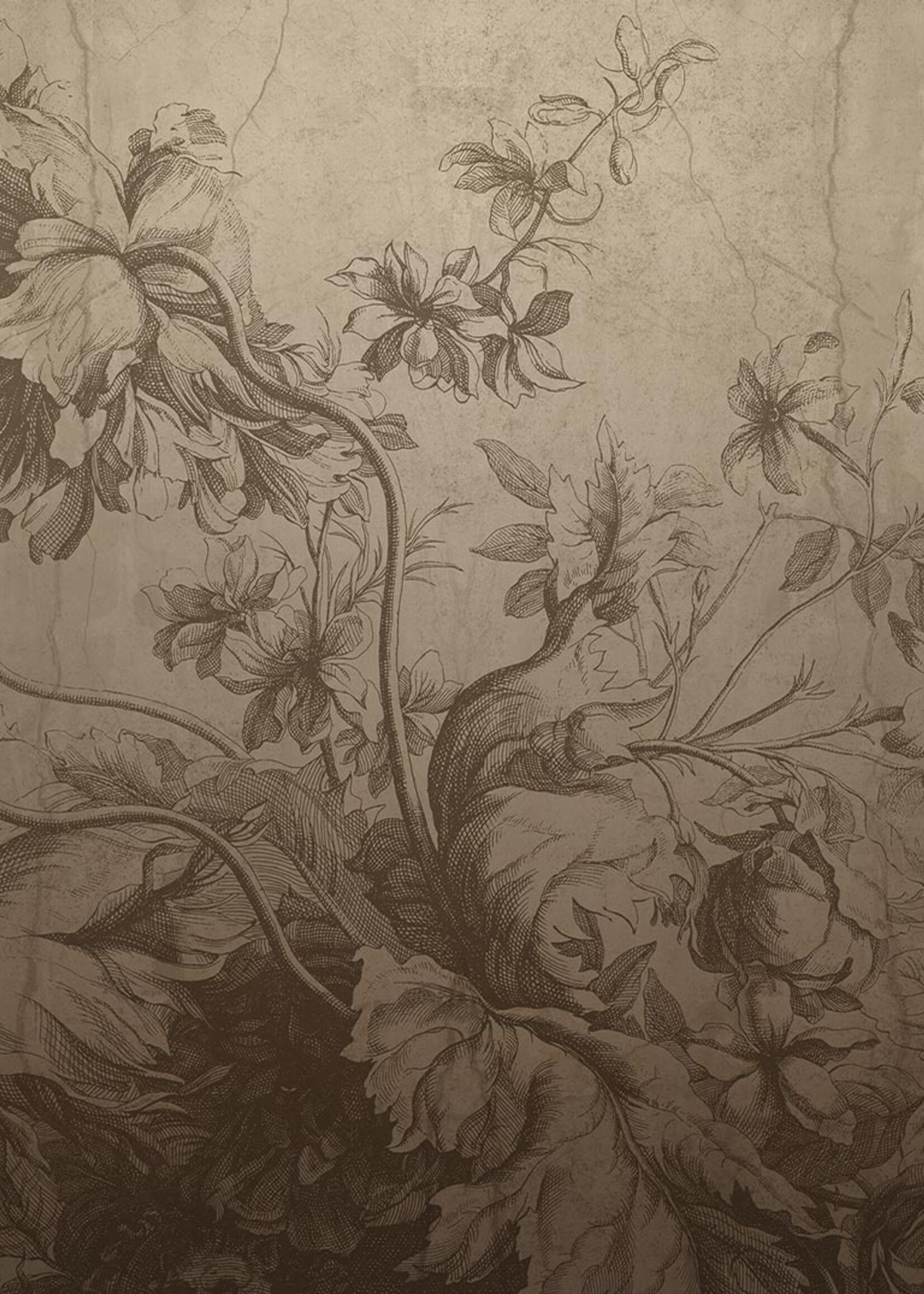 Wandvullend Gradient Flowers | Blumen Tapete von Frans Uyterlinde | Beige