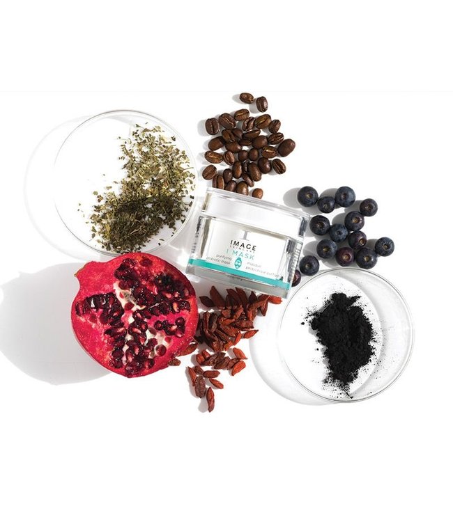 Image Skincare I MASK - Purifying Probiotic Mask