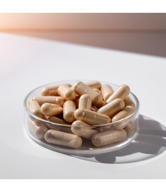 Advanced Nutrition Programme Skin Vit C