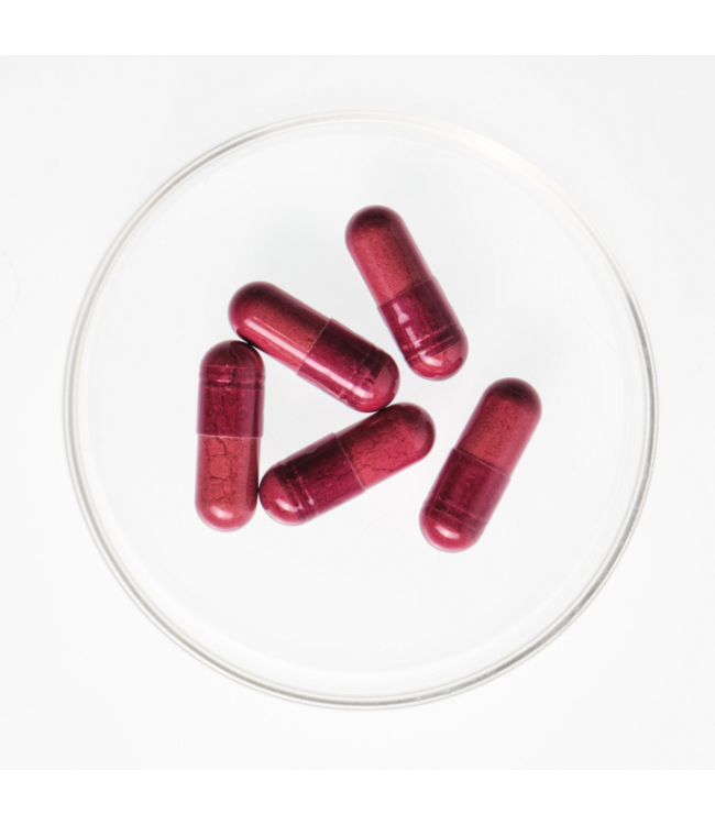 ANP | Advanced Nutrition Programme Skin Antioxidant