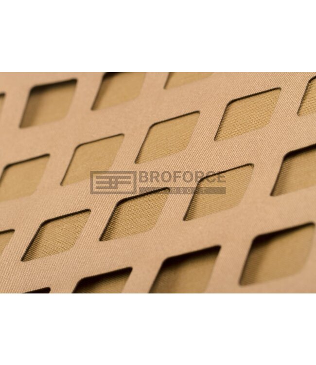 Blue Force Gear PLATEminus V2 Carrier - Coyote