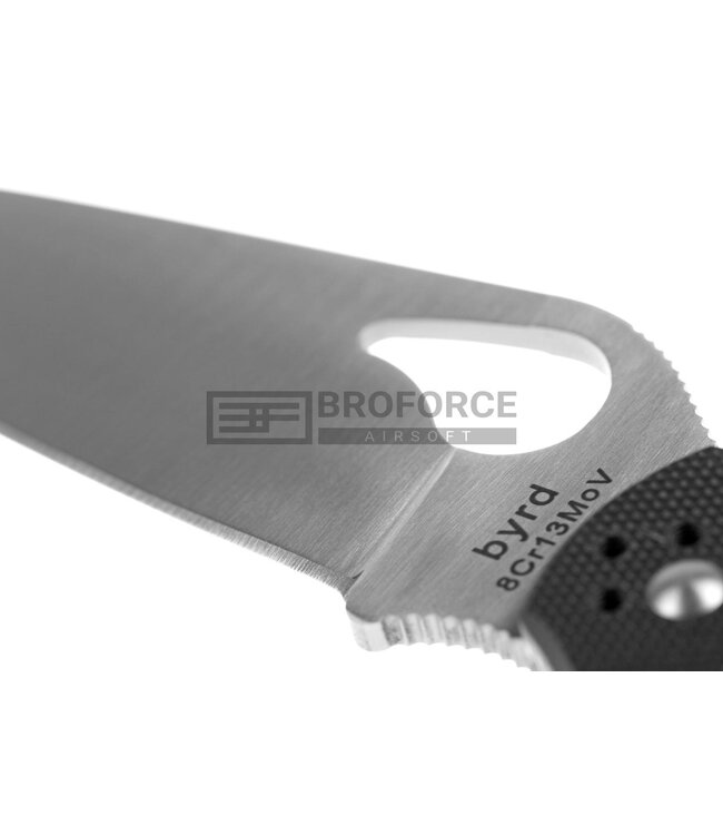 Byrd By Spyderco BY03G Cara Cara2 Plain Edge Folder