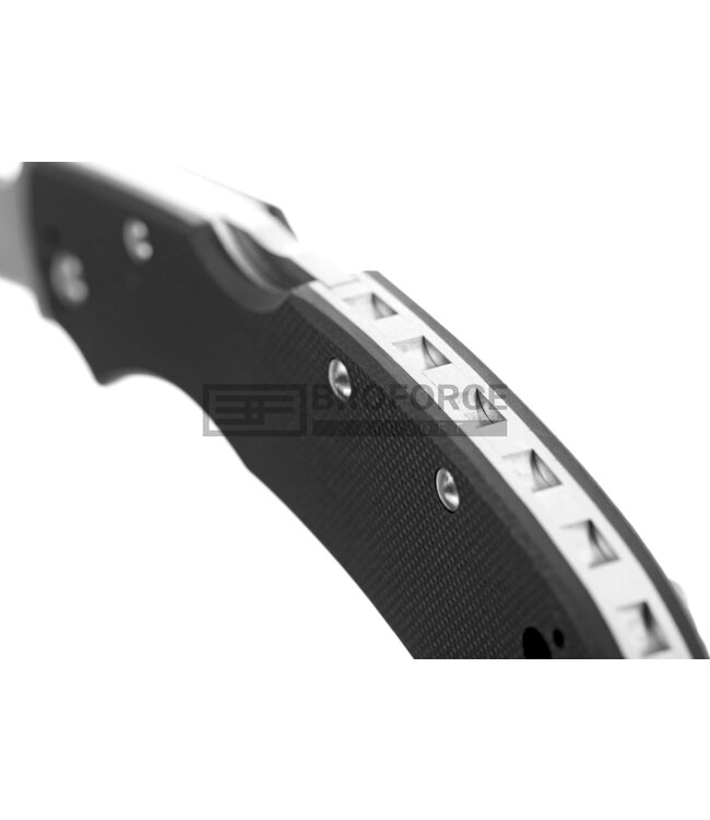 Byrd By Spyderco BY03G Cara Cara2 Plain Edge Folder