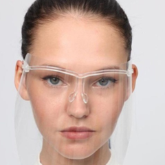 Face Shield