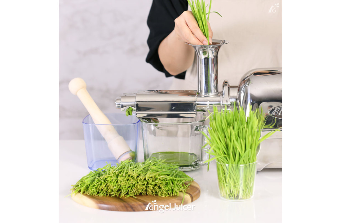 Angel Juicer 5500/ 7500 Tarwegras Zeef