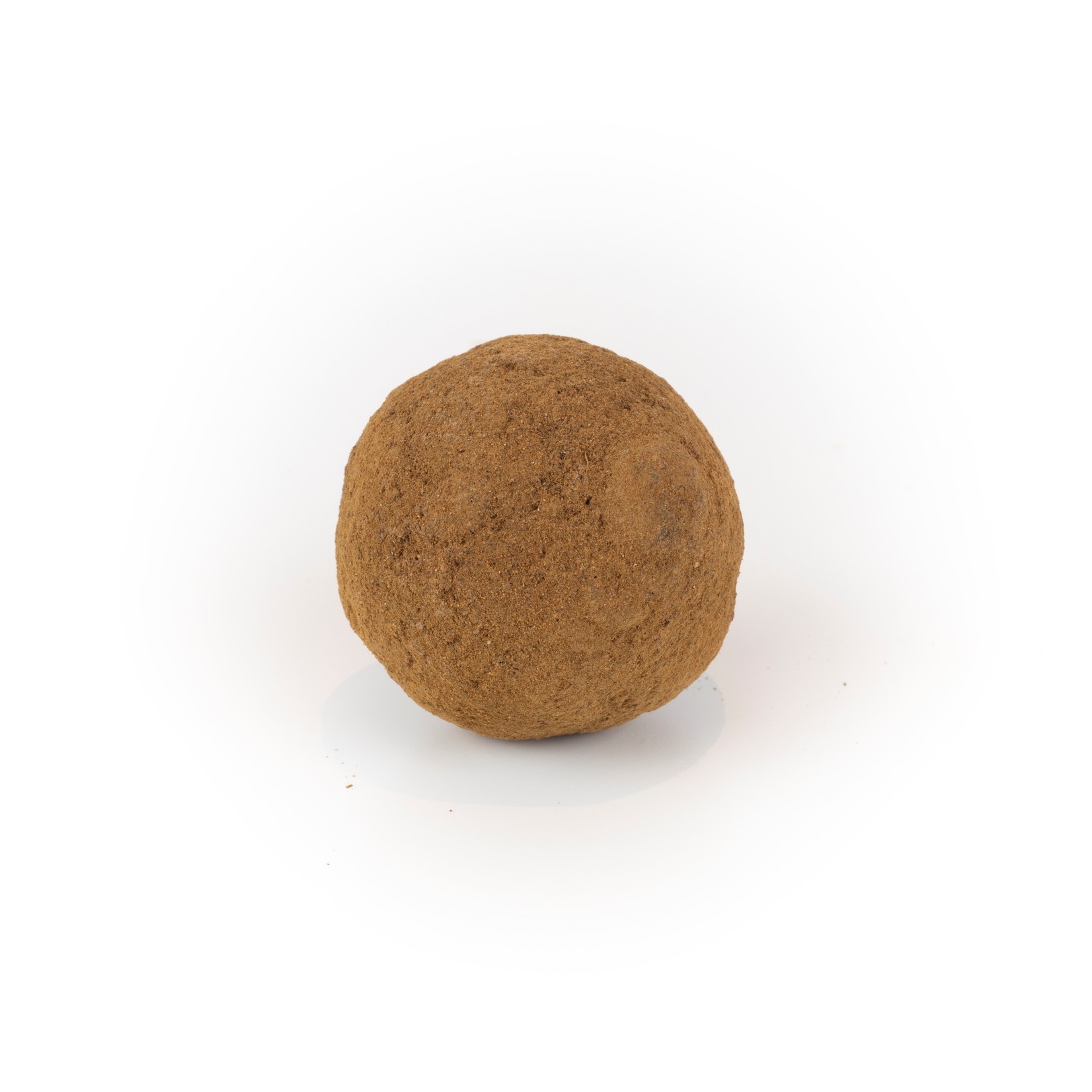 impulso Chocoladebom  Speculaas